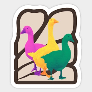 Pop colour ducks Sticker